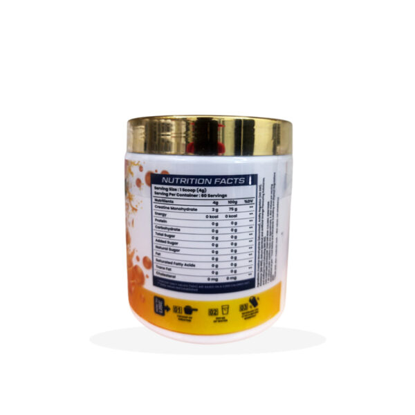 Next 30 100 % Creatine Monohydrate (Flavoured) back
