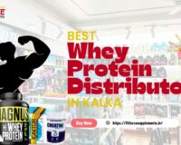 Best Whey Protein Distributor in Kalka - Fit Force Supplements