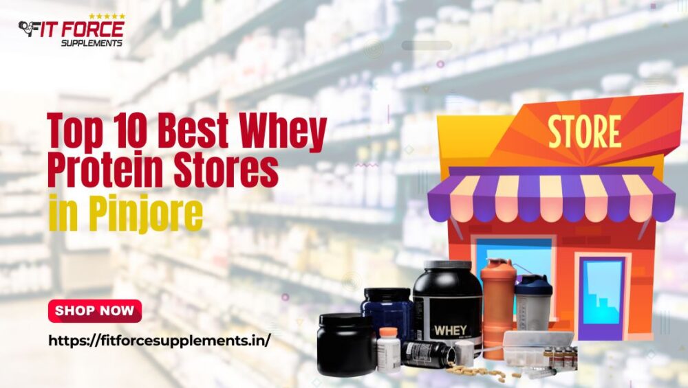 Top 10 best whey protein stores in Pinjore – Fit Force Supplements