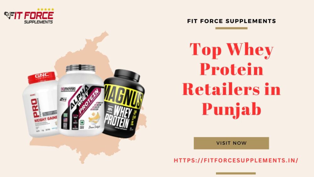 Top Whey Protein Retailers in Punjab - Fit Force Supplements