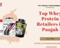 Top Whey Protein Retailers in Punjab - Fit Force Supplements